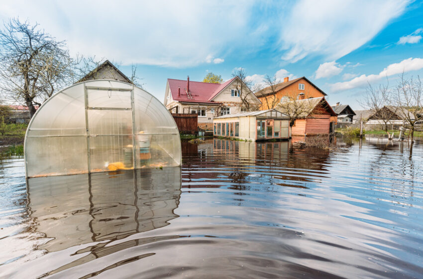  Lietuvos gyventojų ir įmonių siaubas: nuostoliai dėl užpylimo ir potvynių