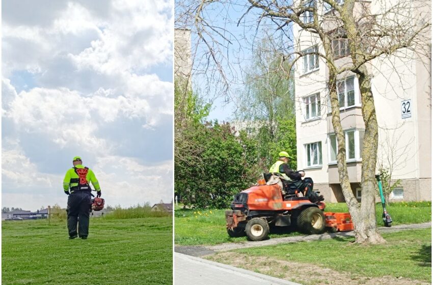  Šiųmetis žolės pjovimo sezonas prasidėjo anksčiau nei kasmet