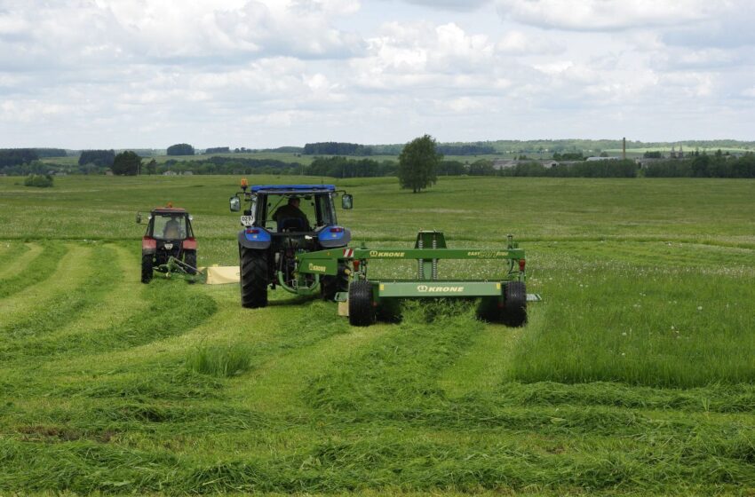  Smulkių-vidutinių ūkių plėtrai – svari parama