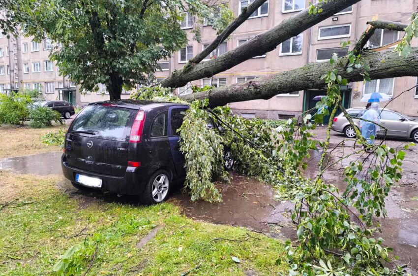  Audra talžė Kėdainius: medžiai virto ir ant automobilių, ir ant pastatų (FOTOGALERIJA)