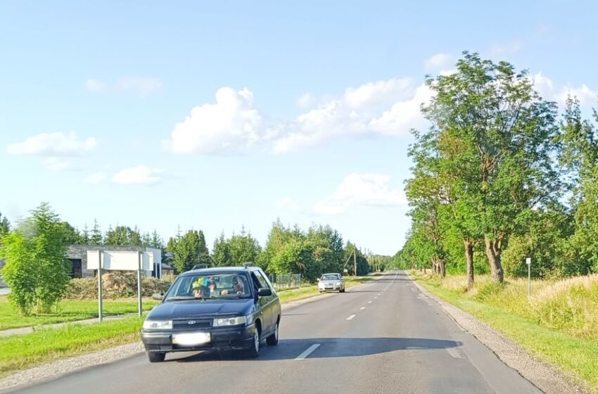  Automobilio partrenktas gandras sukėlė diskusijų audrą: BPC paaiškino, kaip elgtis