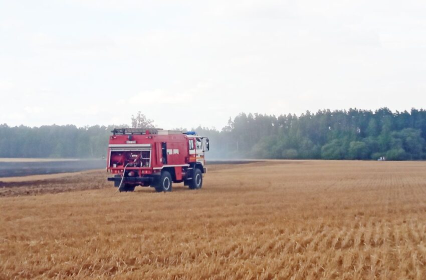  Kėdainių rajone išdegė apie 30 arų ražienų