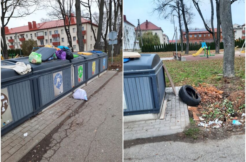  Prie konteinerių laksto žiurkės, kalnai šiukšlių, o šalia žaidžia vaikai. Kada tai pasikeis?