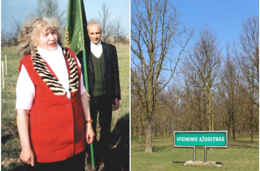 Meškauskienė, Atgimimo ąžuolynas.
