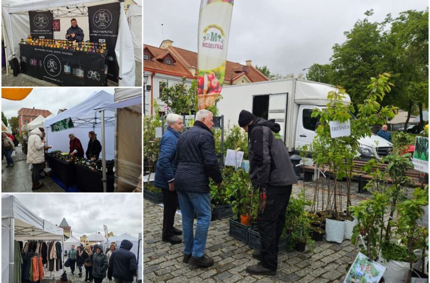 Kėdainiuose vyko mugė.