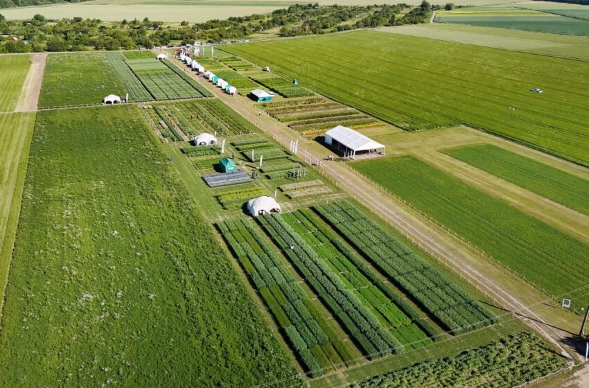 Agrifood