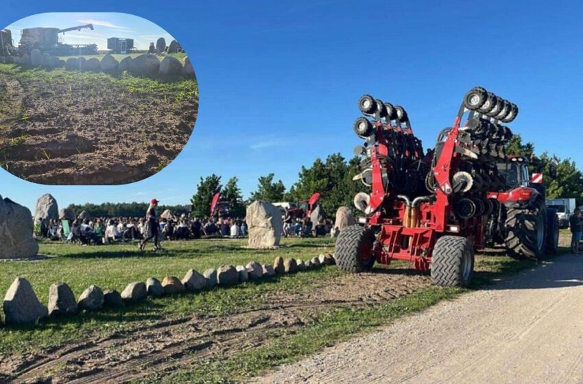 Kol vieni linksminosi, „Meilės ir Taikos gėlės“ įkūrėjai fiksavo traktoriais išvažinėtą ir suniokotą aplinką bei arogantišką renginio organizatorių požiūrį.