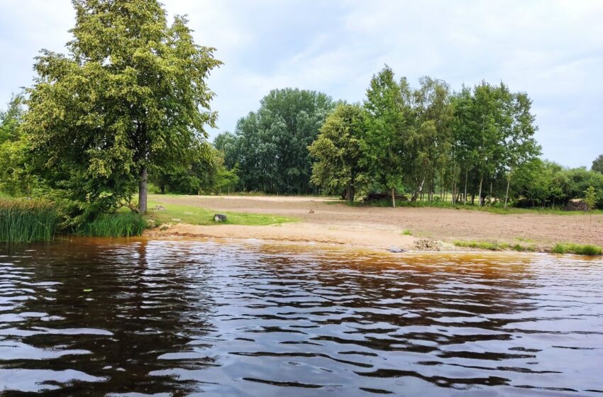 maudykla