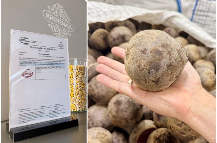 Krekenava burokėliai serifikatas