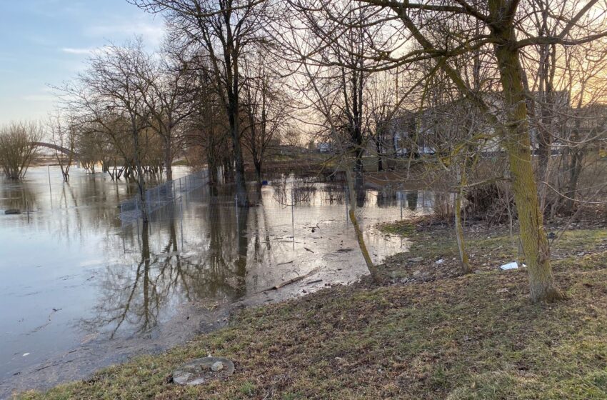  Kritinė riba nepasiekta: Nevėžis pradeda trauktis