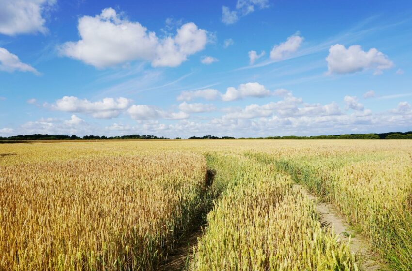 Ūkininkai raginami žemės ūkio naudmenų ir kitų plotų deklaravimo nepasilikti paskutinei dienai.