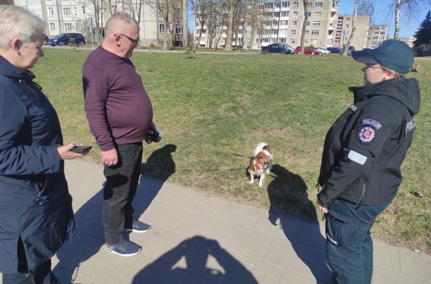 tikrino šunų šeimininkus