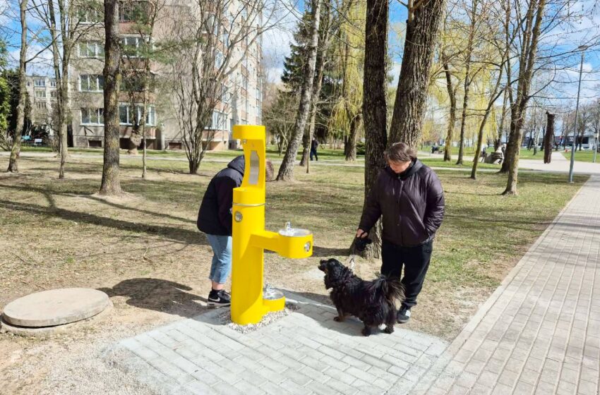 vandens kolonėlė Vytauto parke