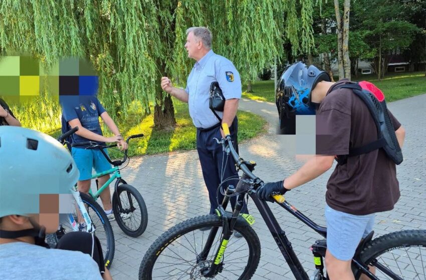 tikrino vaikų žaidimų aikšteles