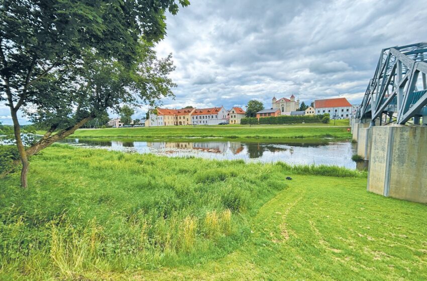 Nevėžio pakrantė