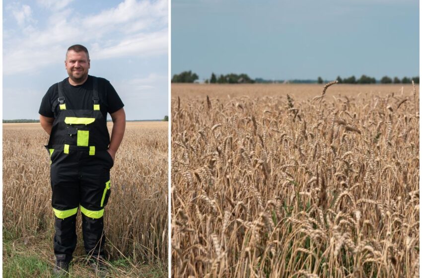  Rado būdą, kaip be chemijos įveikti šliužus