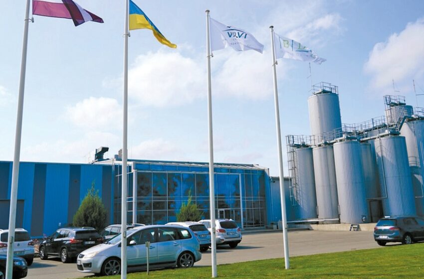 Vilvi Group