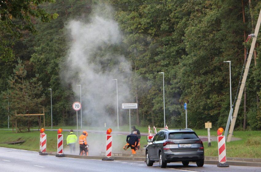 perėja