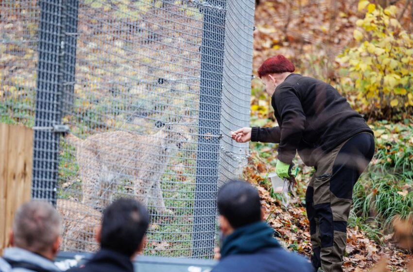  Gera žinia senjorams: zoologijos sode galės apsilankyti nemokamai