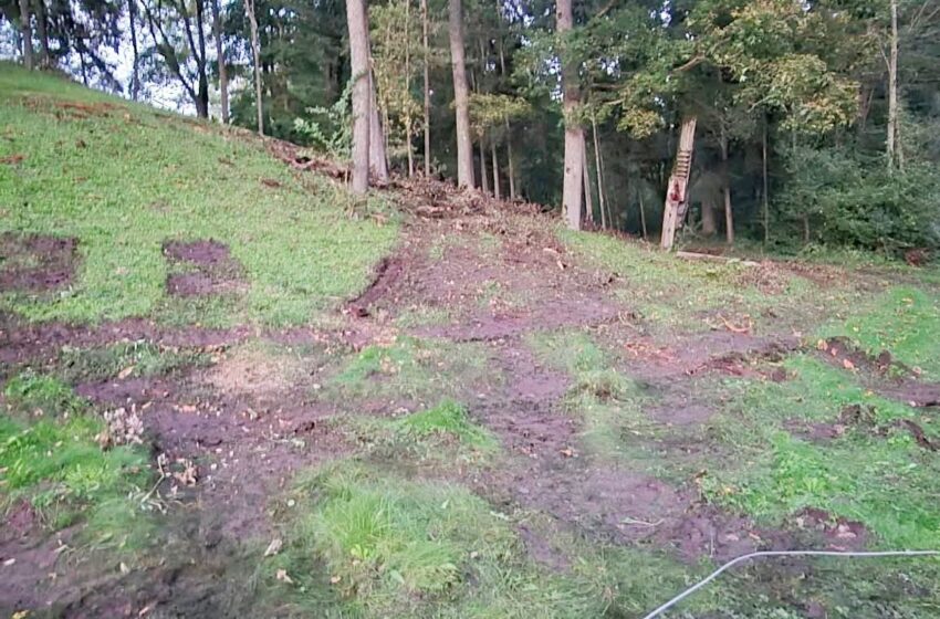  Po audros draustinį sutvarkė taip, kad dabar teks tvarkyti ir po tvarkytojų